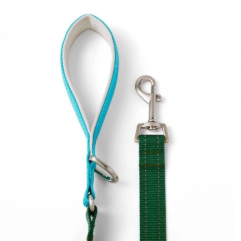 LEGO LIMITED EDITION Colorblock Dog Leash in Green